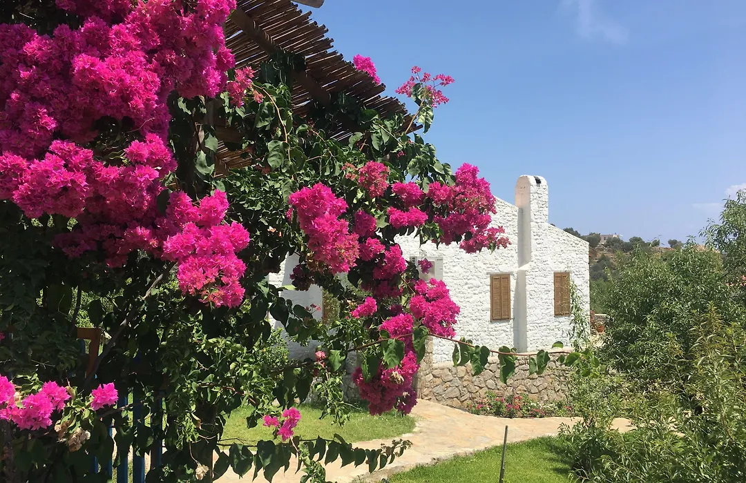 Koy Evi Apart-1