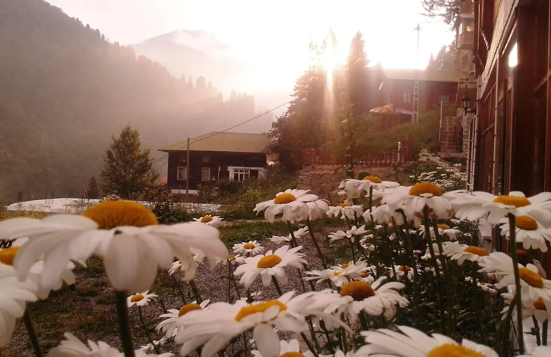 Ayder Liligum Dag Evi-1