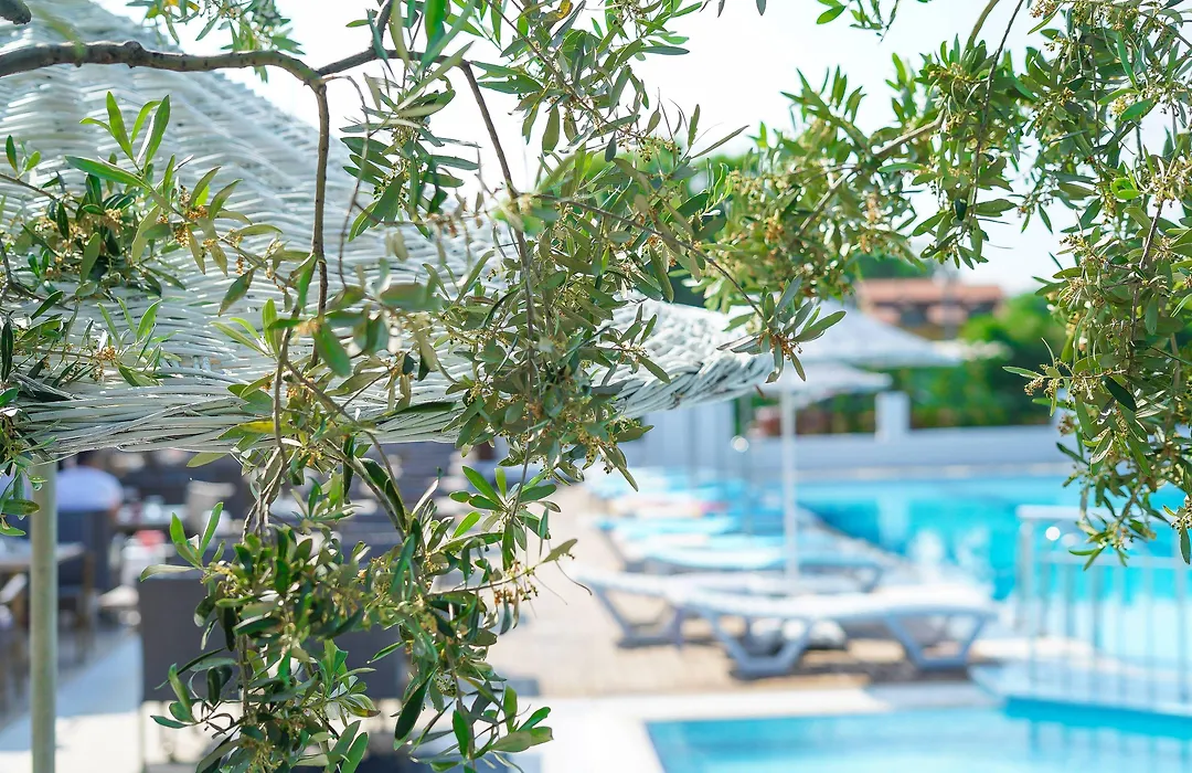 Aloria Garden Hotel-1