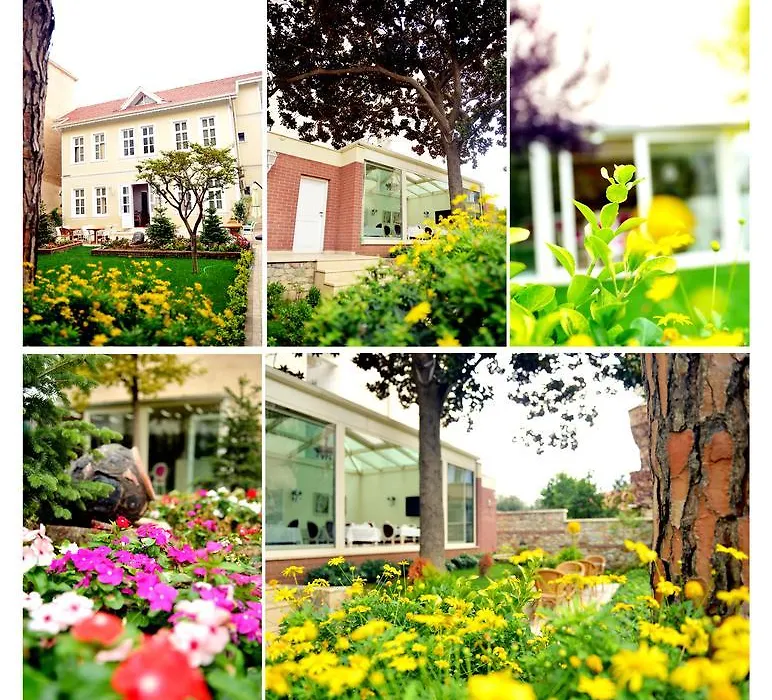 Green House Hotel-1
