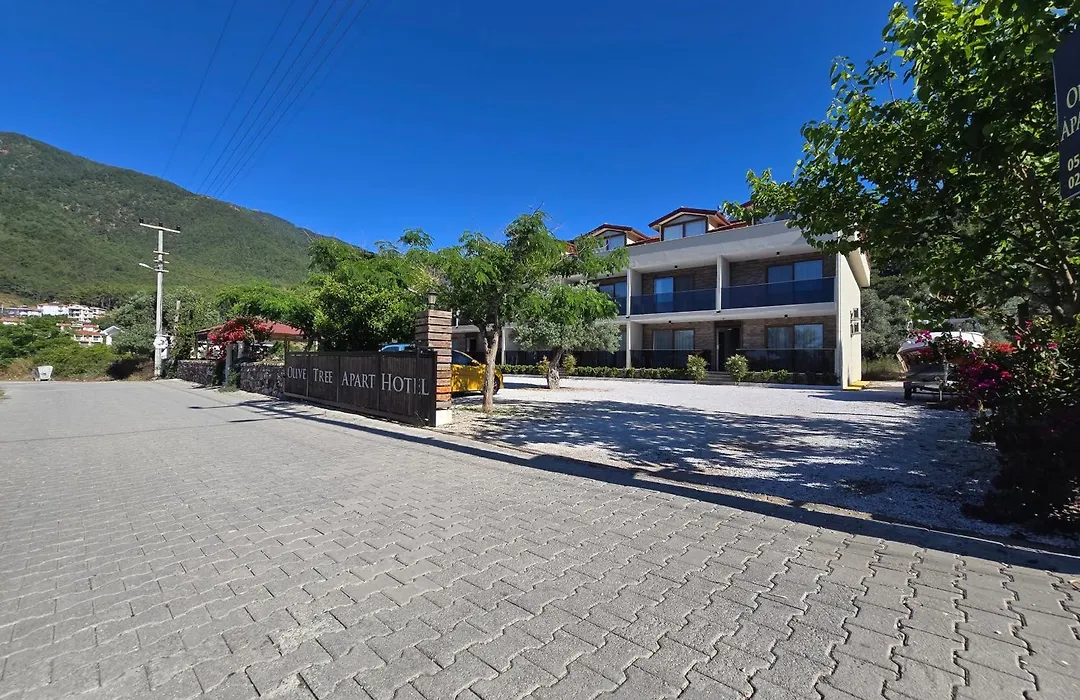 Olive Tree Apart Hotel-1