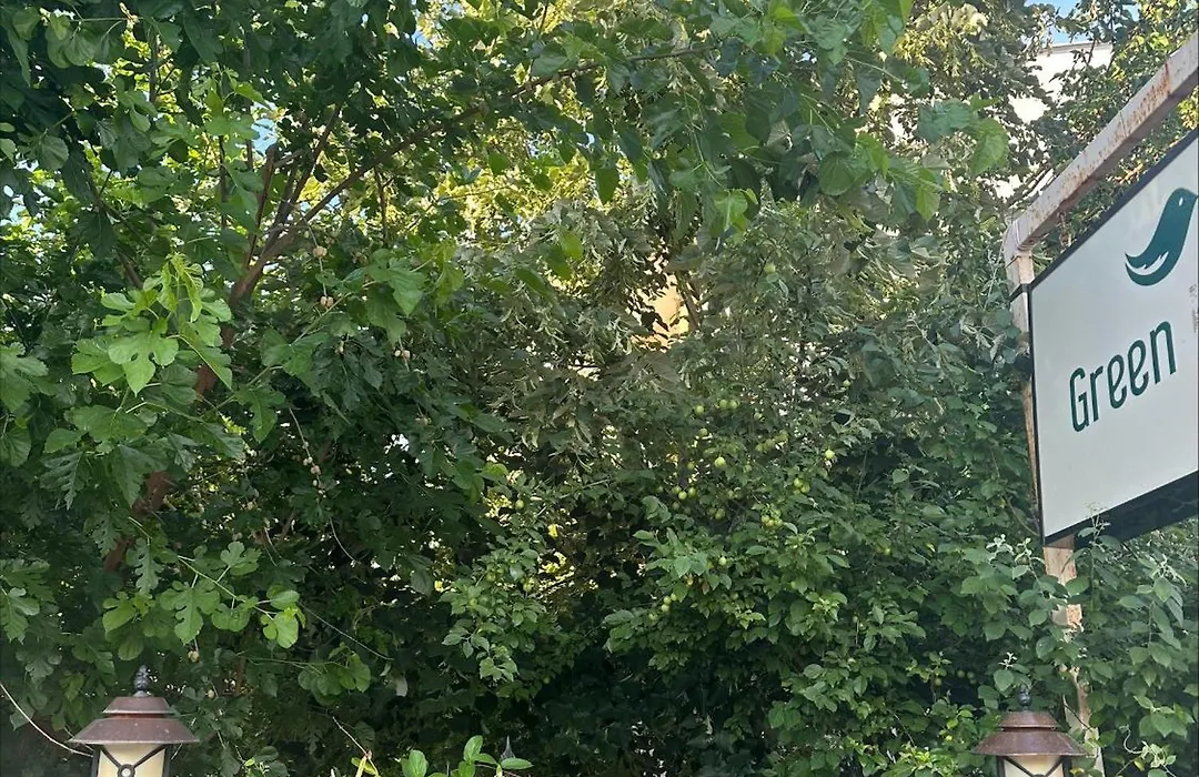 Karaagac Green Edirne-1