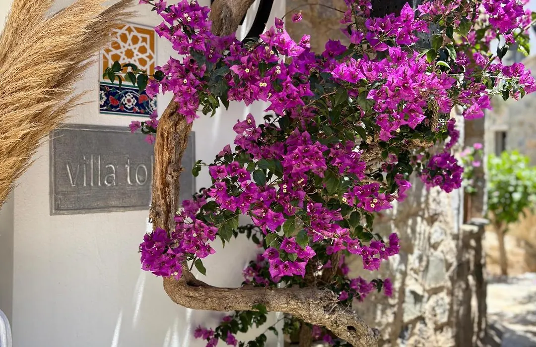 Hotel Villa Tokur-1