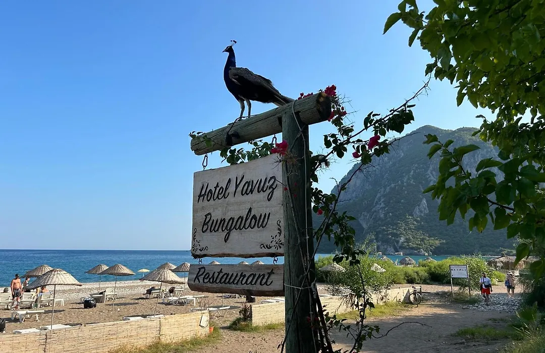 Hotel Yavuz Bungalow-1