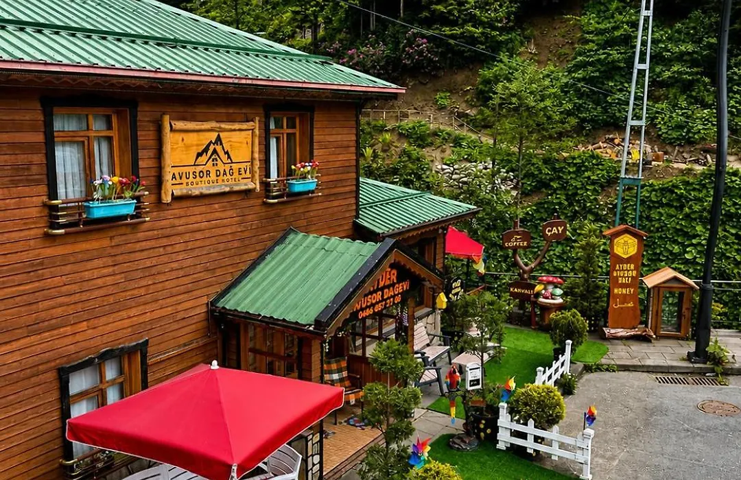 Ayder Avusor Hotel-1
