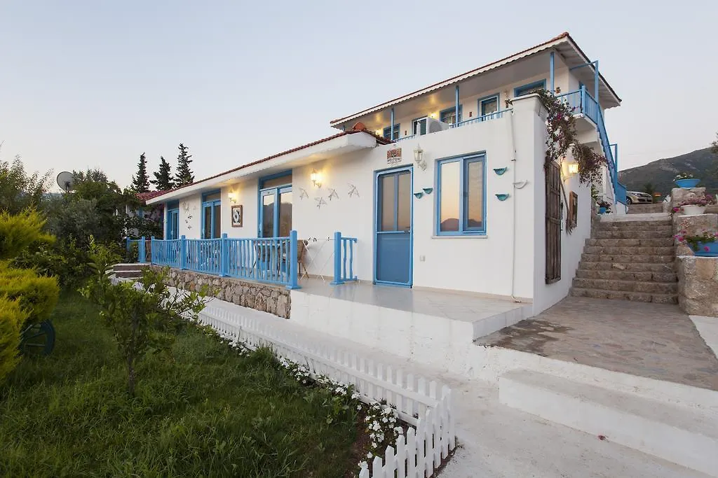 Selimiye Mavisi-1