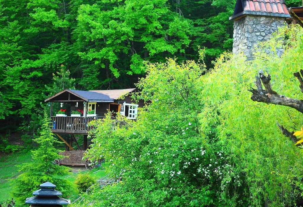 Abant Yesil Ev Masal Evleri Ve Butik Hotel-1