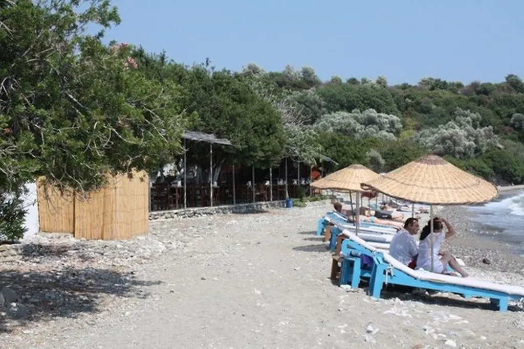 Mazi Sahil Pansiyon-1