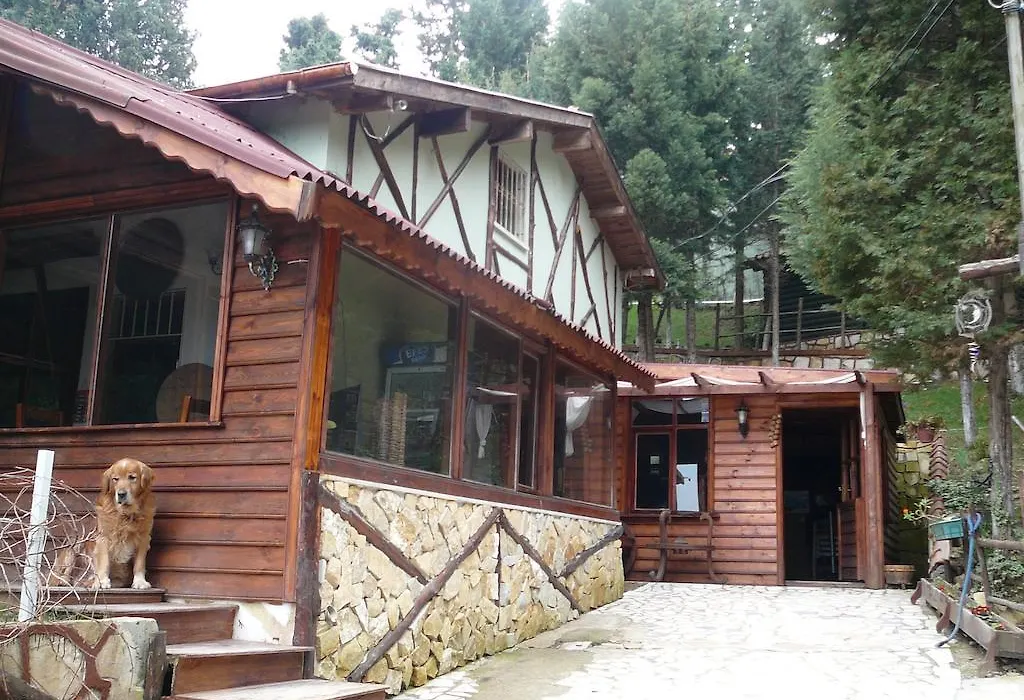Forest Lodge-1