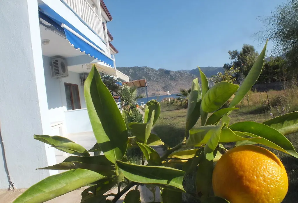 Dantel Sahil Hotel-1