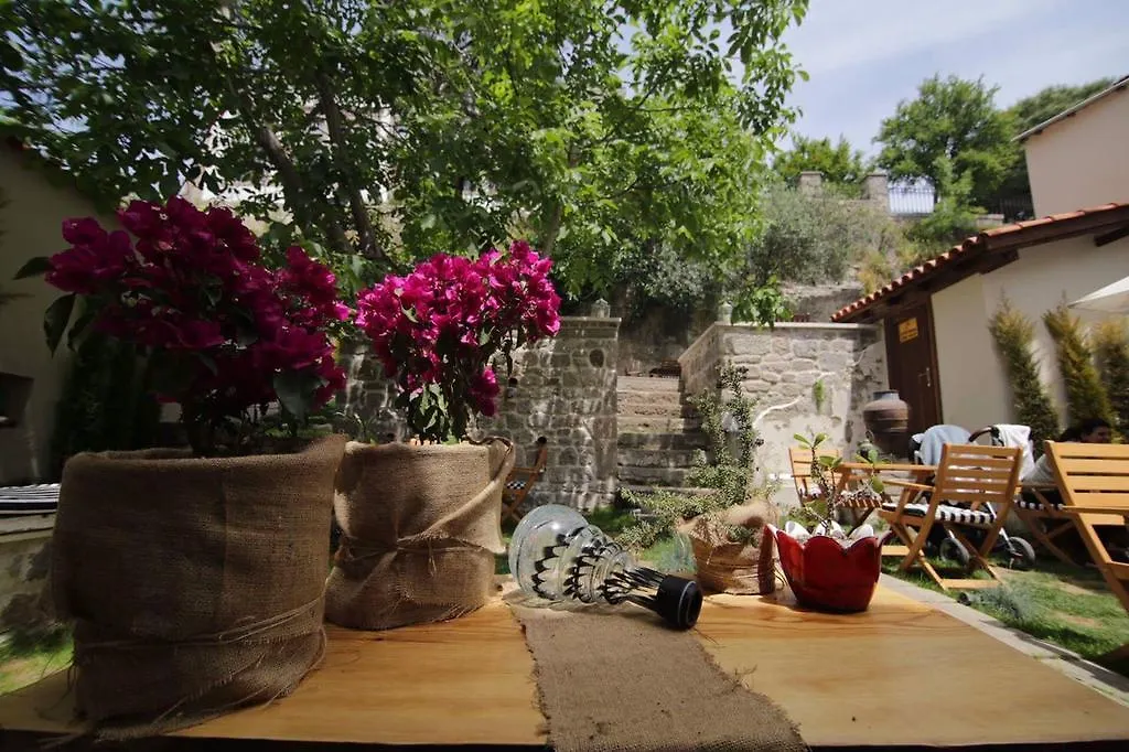 Sanart Guest House & Loca Garden-1