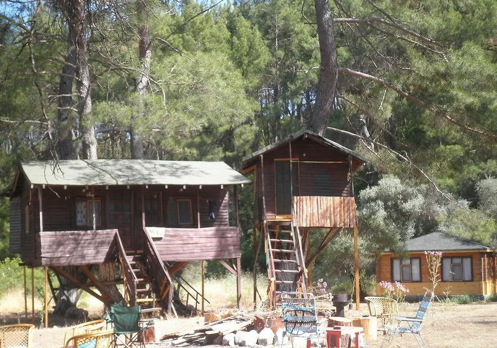 Olympos Woods - Adults Only-1