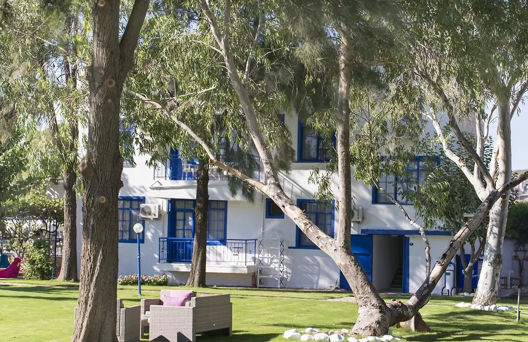 Mavi Zeytin Butik Otel-1