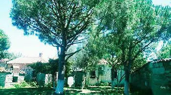 Athena Pension-1