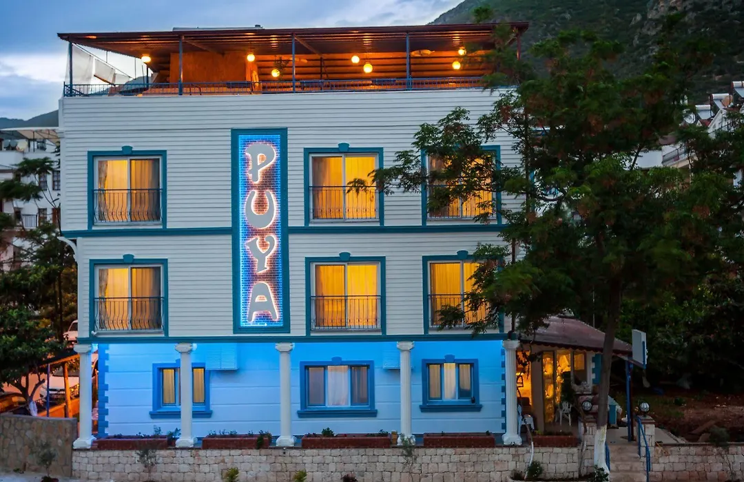 Hotel Puya-1