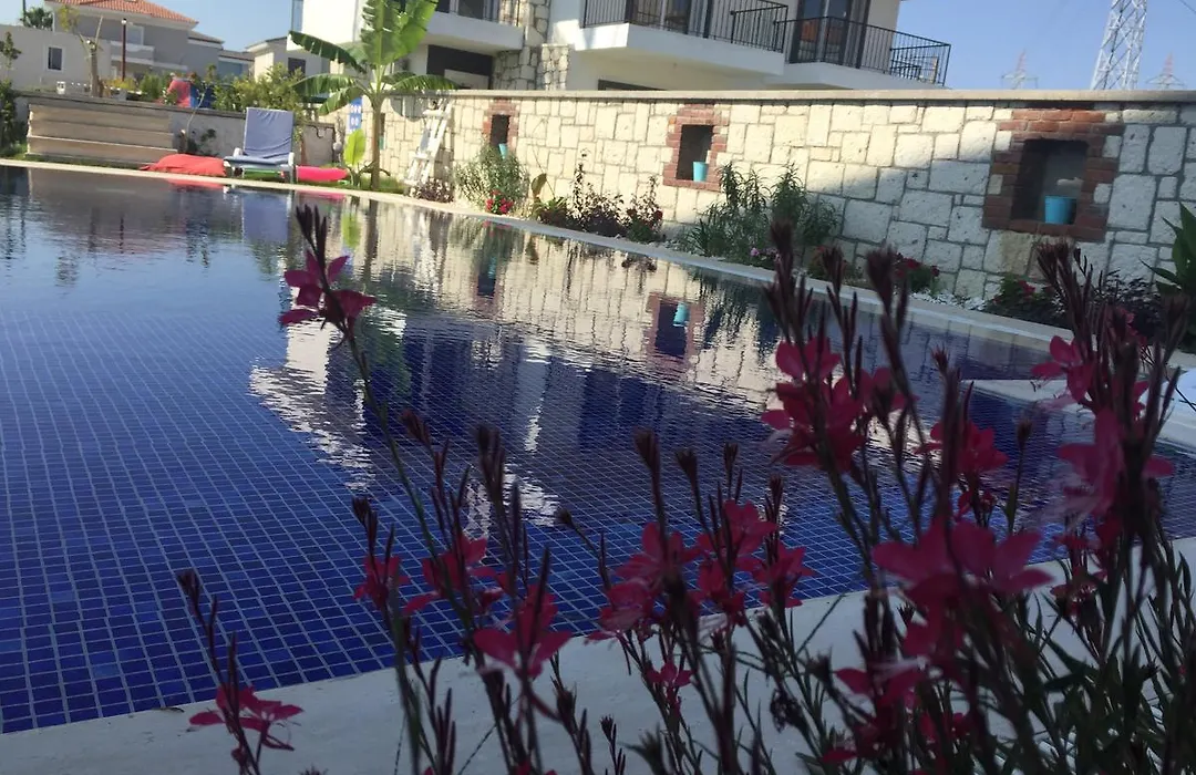 My Vera Alacati Butik Otel-1