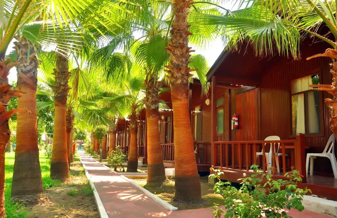 Dream Park Bungalow-1