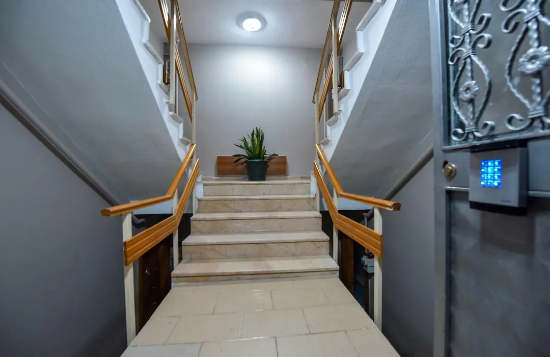 My Guse Suite-1