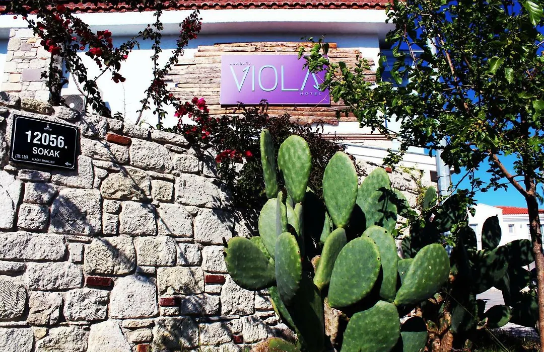 Alacati Viola Hotel-1