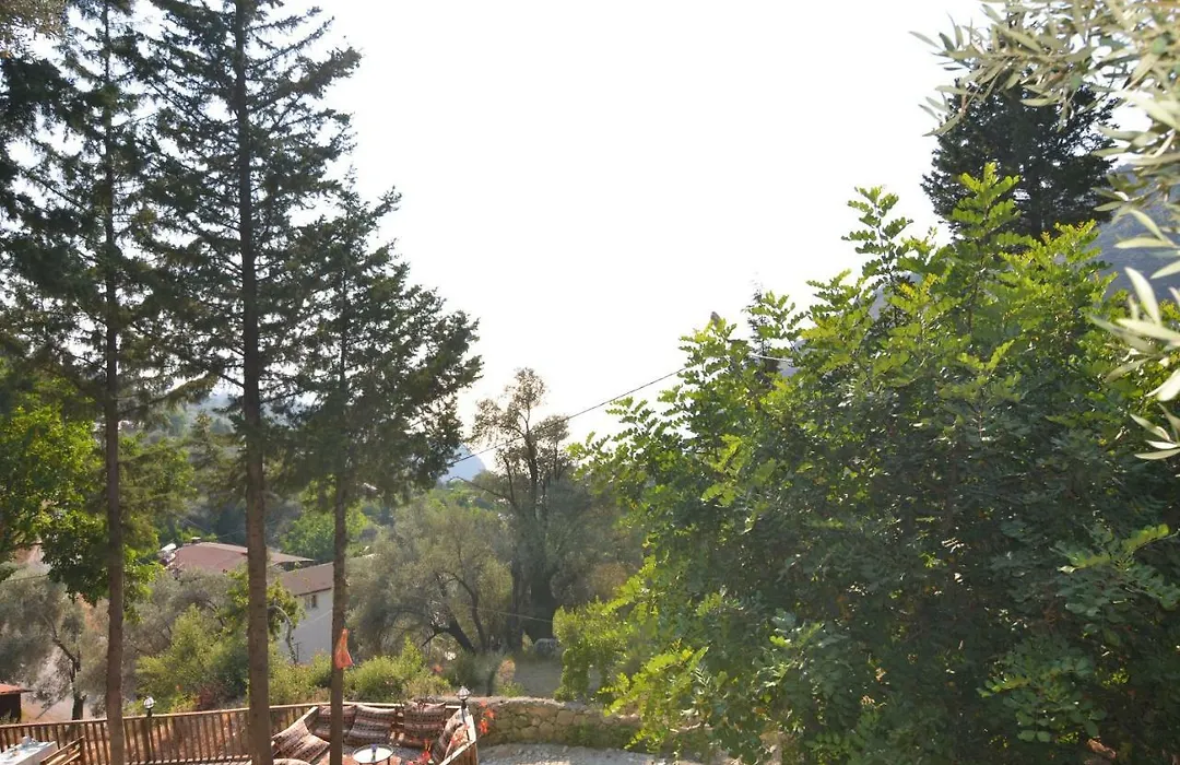 Baharoglu Life House Faralya-1