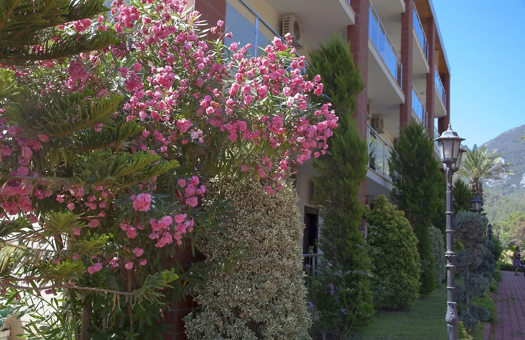 Palmira Hotel-1