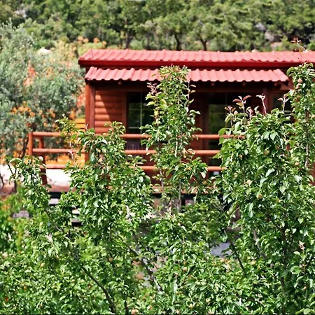 Kas Doga Park Hotel-2