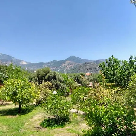 Bahar Bahce Datca-2