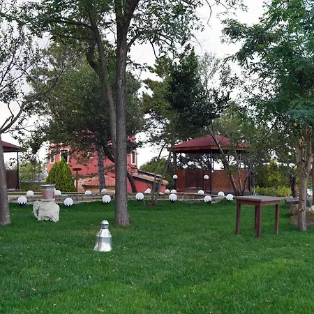 Trikos Boutique Hotel-2
