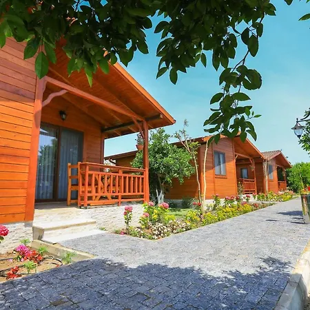 Merry Bungalow & Tent-2