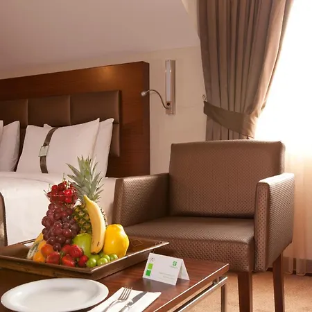 Holiday Inn Gebze - Istanbul Asia, An Ihg Hotel-3