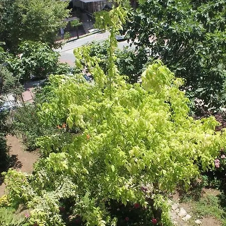 Orkide Motel Pansiyon-2