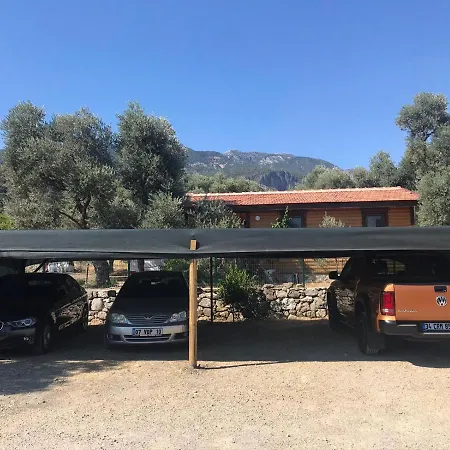 Oliva Casa Datça-2