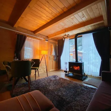 Ayder Bulut Dağevi Bungalow-3