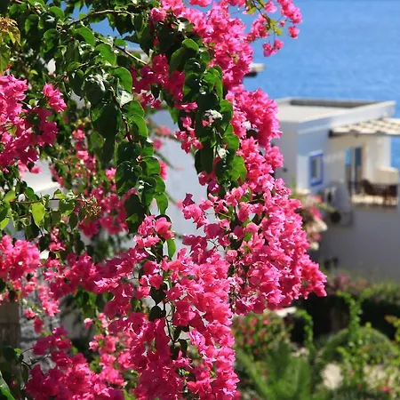 Aktur Residence-2