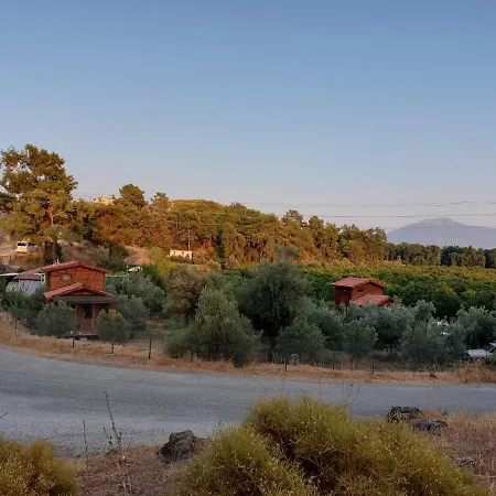 Olive Garden Bungalow-3