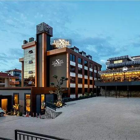 Luxon Hotel Sakarya-3