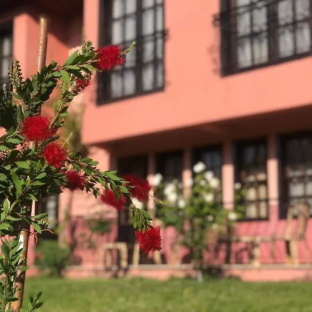 Hotel Palme Dalyan-2