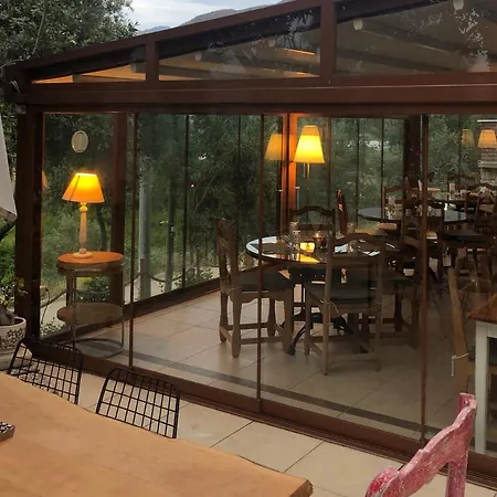 Swiss Eviniz Hotel - Adult Hotel-3