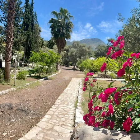 Olympos Angels Garden-2
