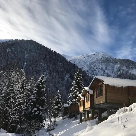 Kardelen Bungalov Evleri̇-3