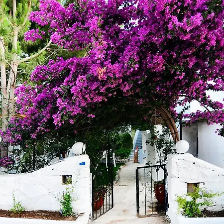 Misket Hotel Bodrum-3