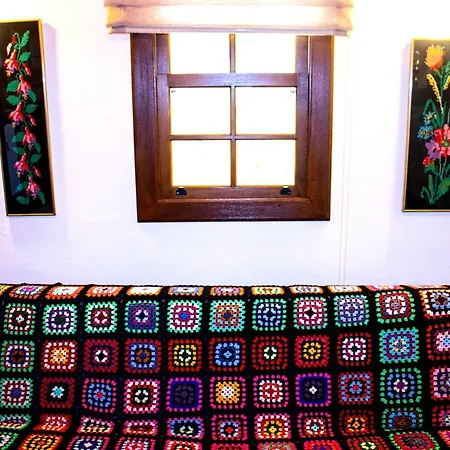 Aycan Hanim Konagi-2