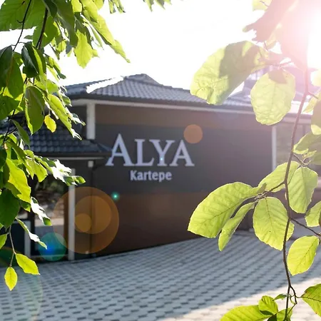 Alya Kartepe Villa Otel-3
