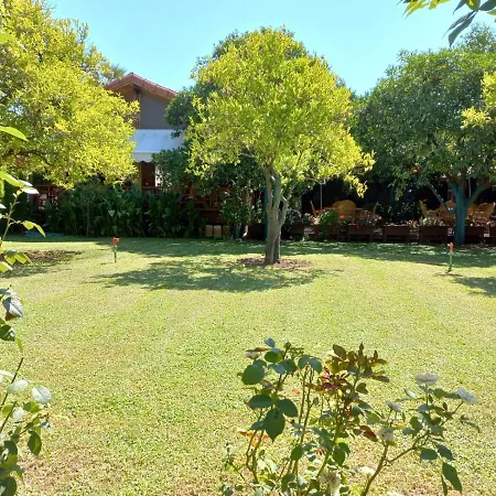 Bahçe Villa-3