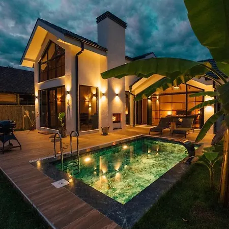Sapanca Atli Kosk Villa-3
