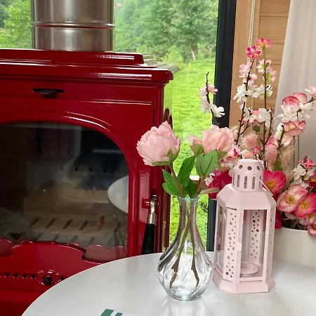 Vagona Tiny House-3
