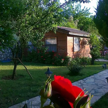 Hidden Garden-2