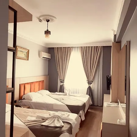 Metros Hotel-2