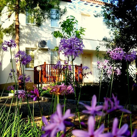 Teos Village-3