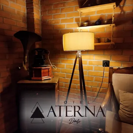 Aterna Hotel-3